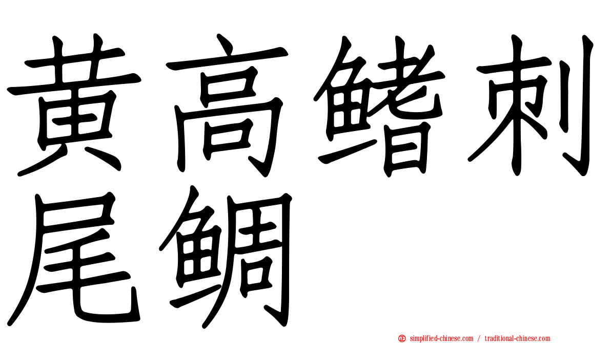 黄高鳍刺尾鲷