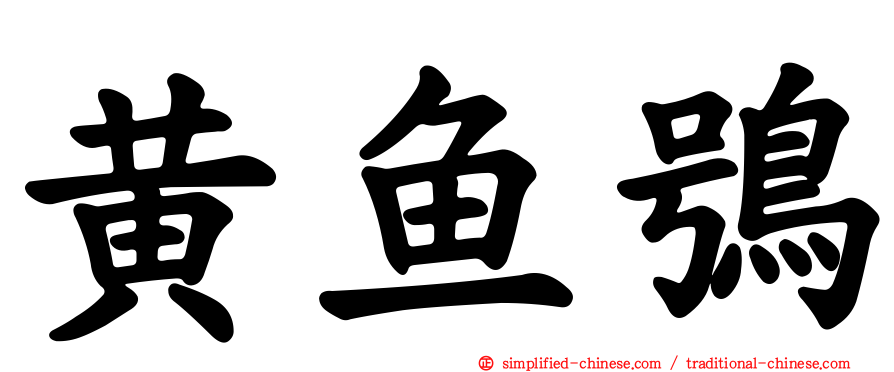 黄鱼鸮