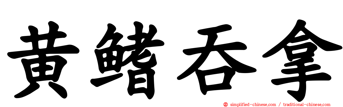 黄鳍吞拿