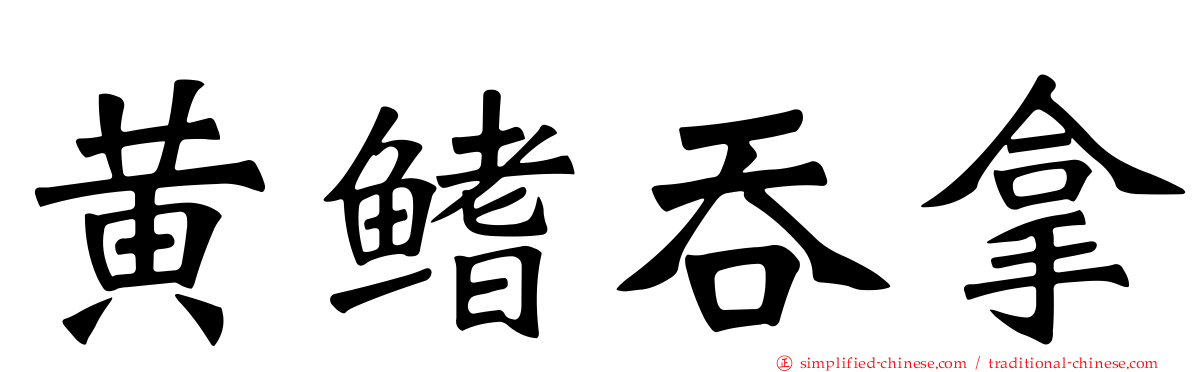 黄鳍吞拿