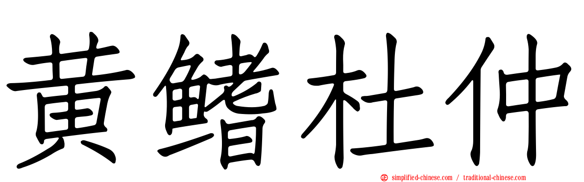 黄鳍杜仲