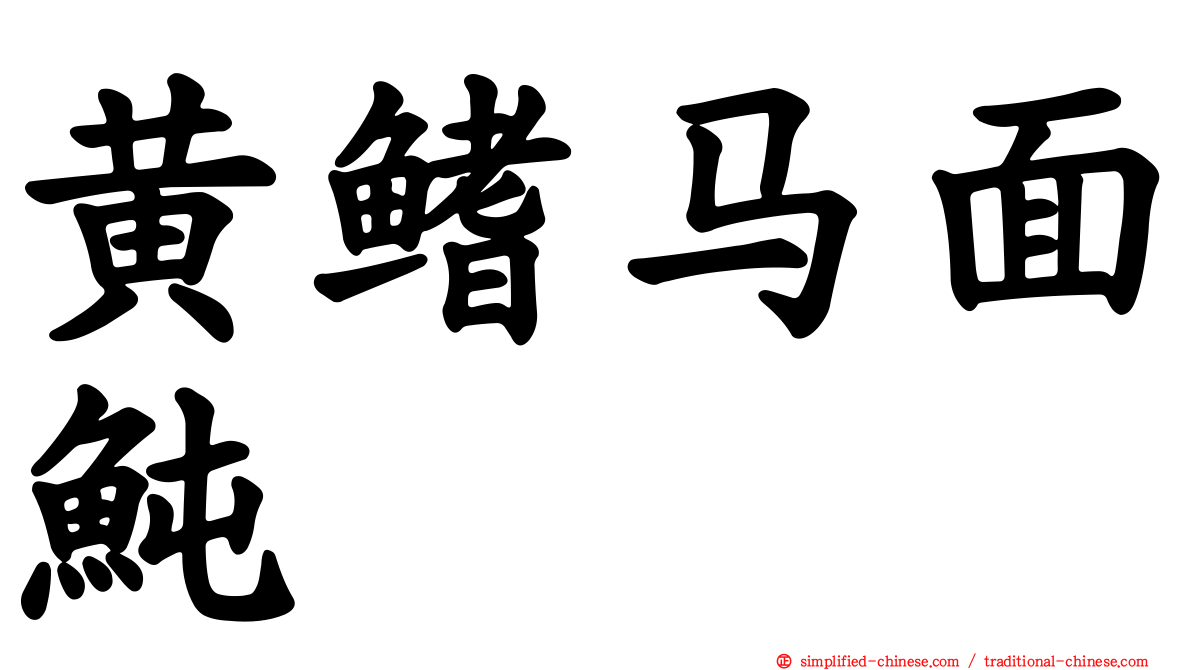 黄鳍马面鲀
