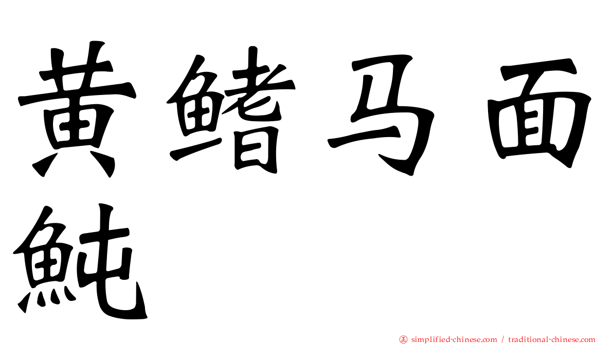 黄鳍马面鲀