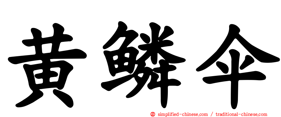 黄鳞伞