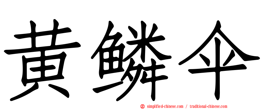 黄鳞伞