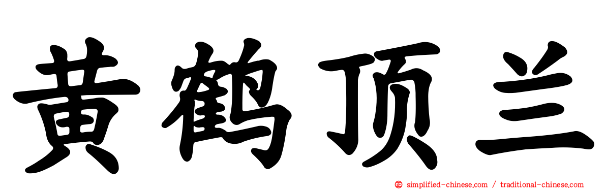 黄鹤顶兰