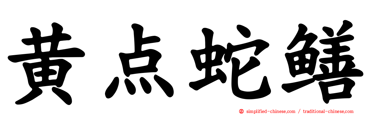 黄点蛇鳝
