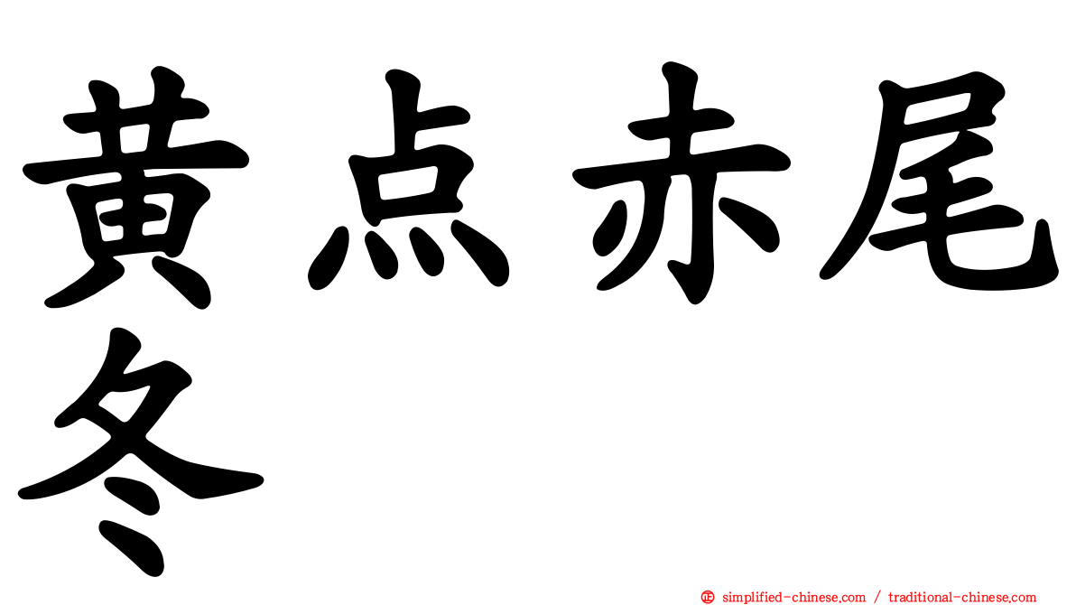 黄点赤尾冬