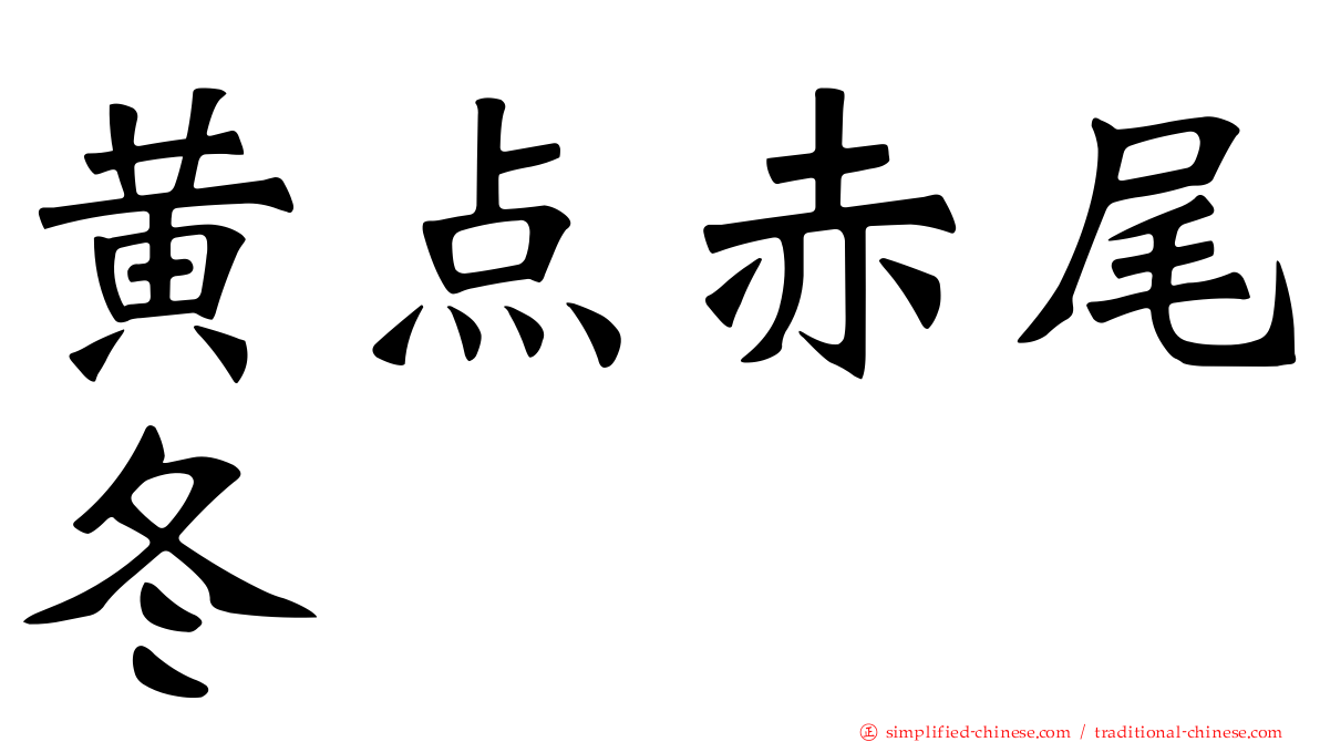 黄点赤尾冬