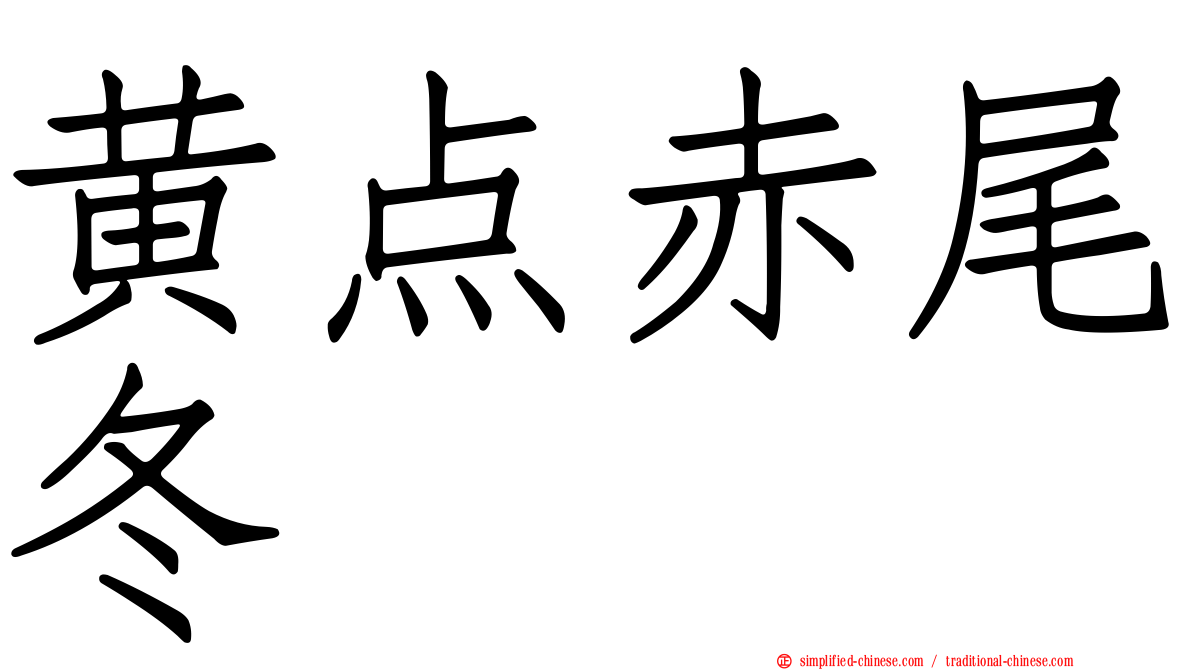 黄点赤尾冬