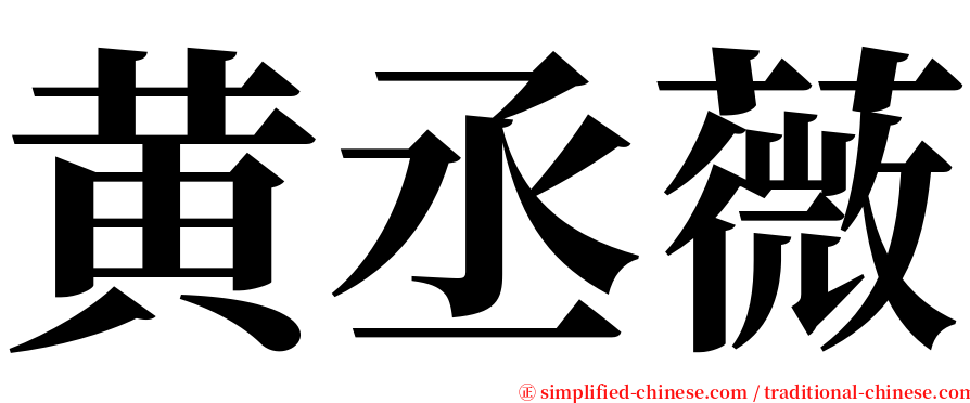 黄丞薇 serif font