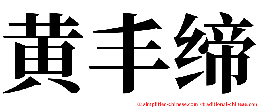 黄丰缔 serif font