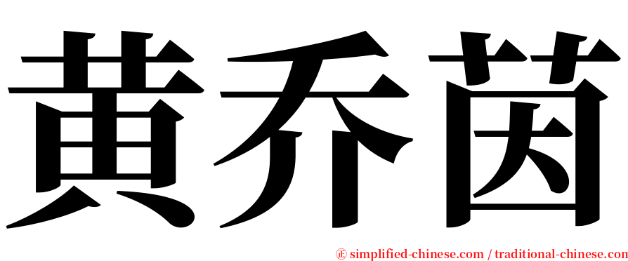 黄乔茵 serif font