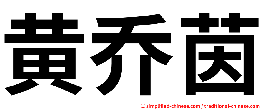 黄乔茵