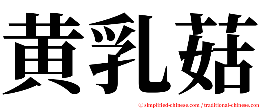 黄乳菇 serif font
