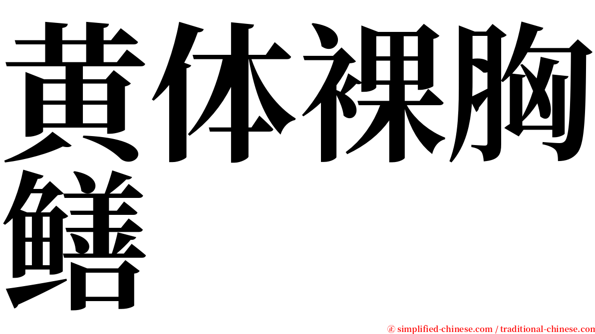 黄体裸胸鳝 serif font