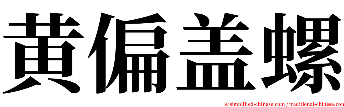 黄偏盖螺 serif font