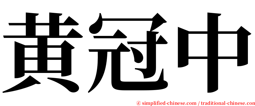 黄冠中 serif font