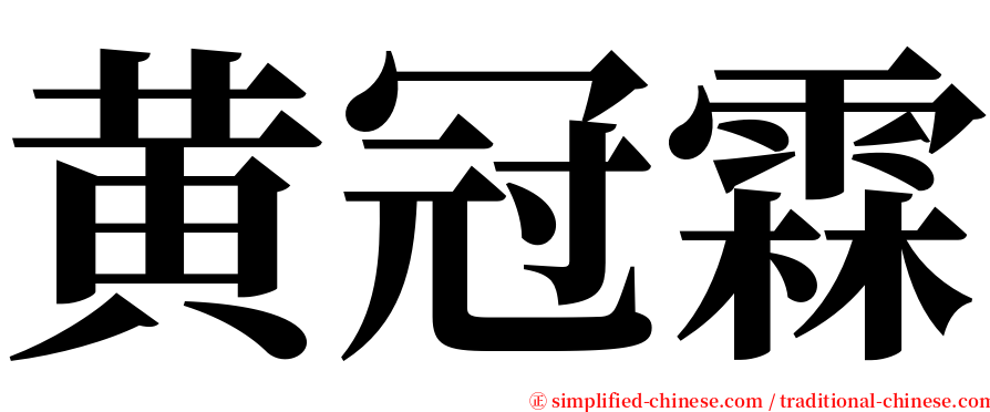 黄冠霖 serif font