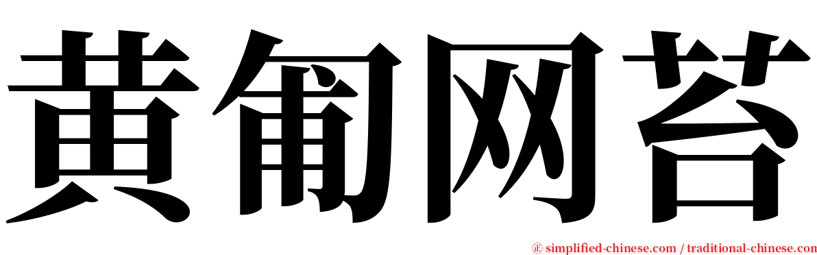 黄匍网苔 serif font