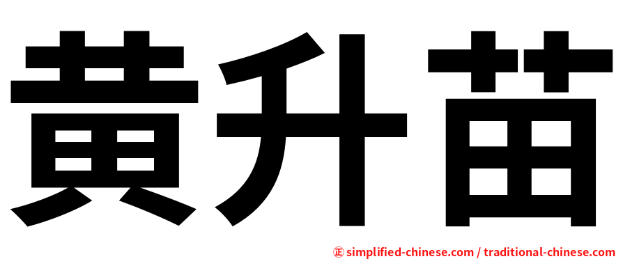 黄升苗