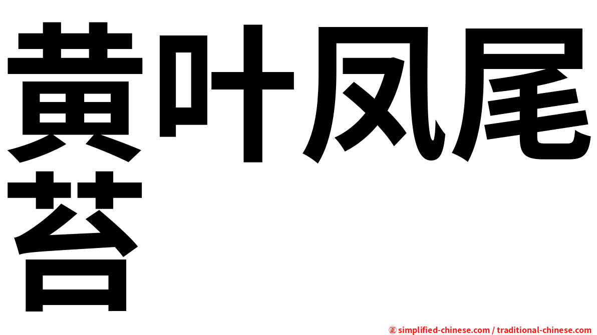 黄叶凤尾苔