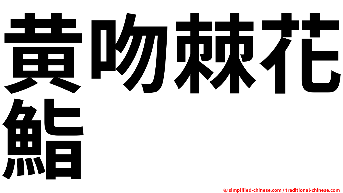 黄吻棘花鮨