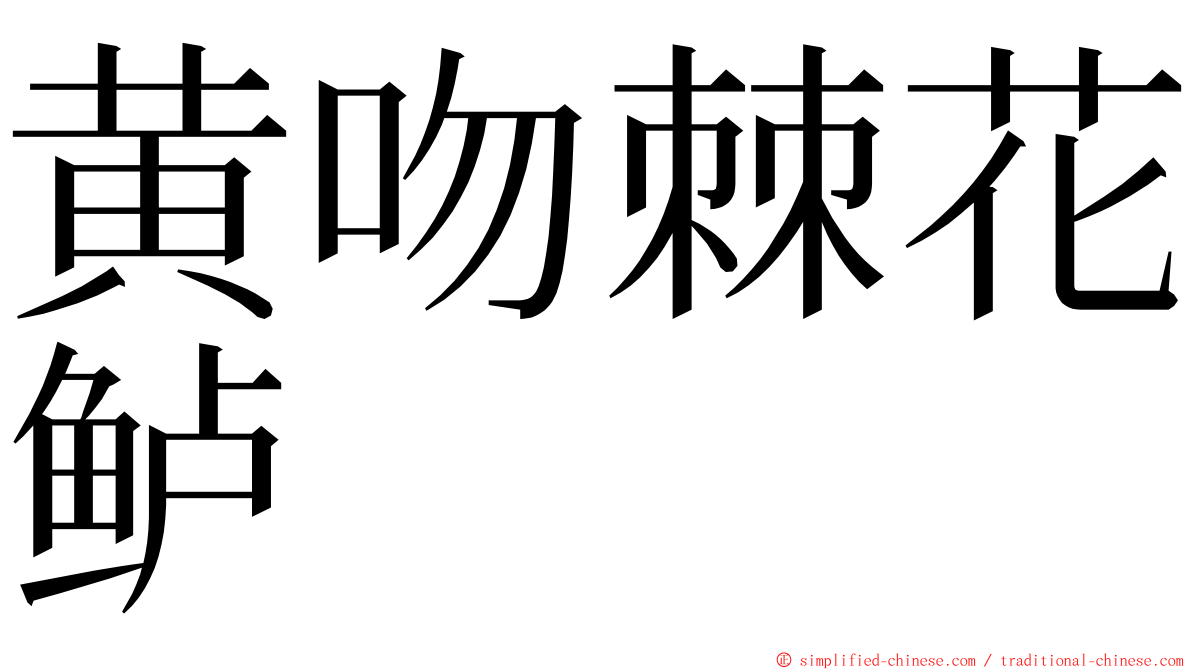黄吻棘花鲈 ming font