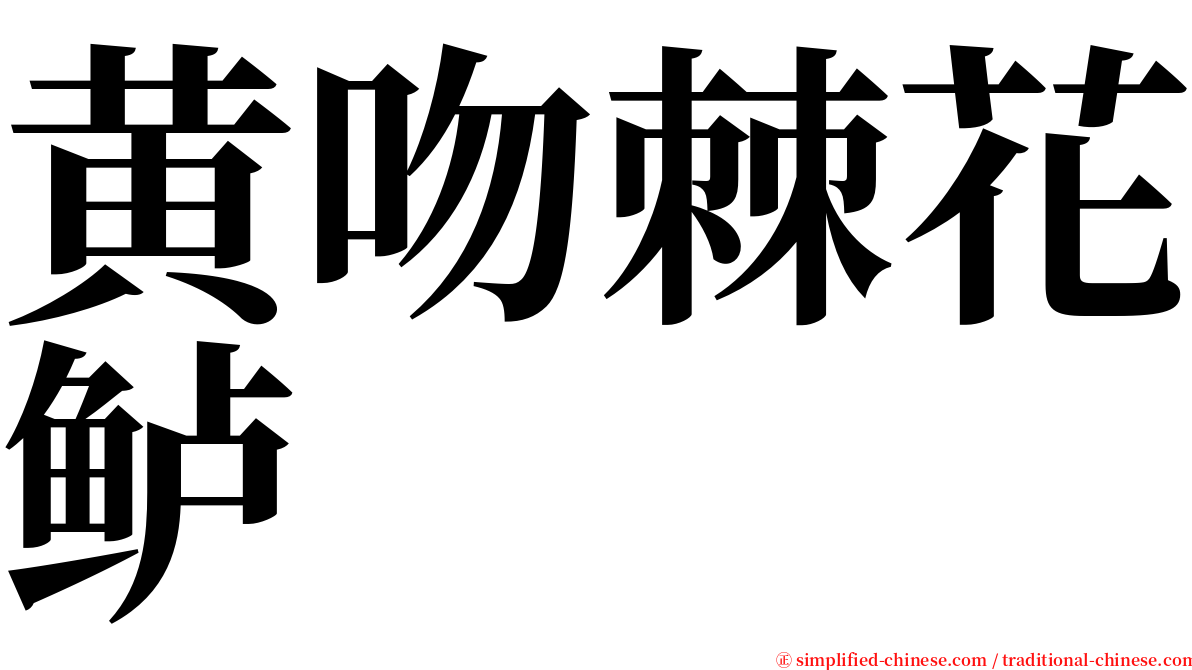 黄吻棘花鲈 serif font