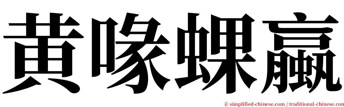 黄喙蜾蠃 serif font