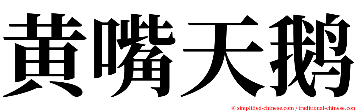 黄嘴天鹅 serif font