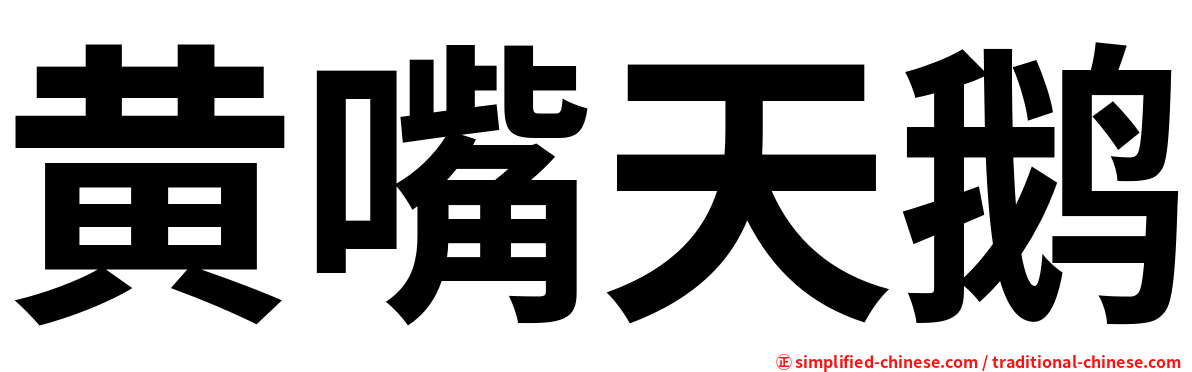 黄嘴天鹅