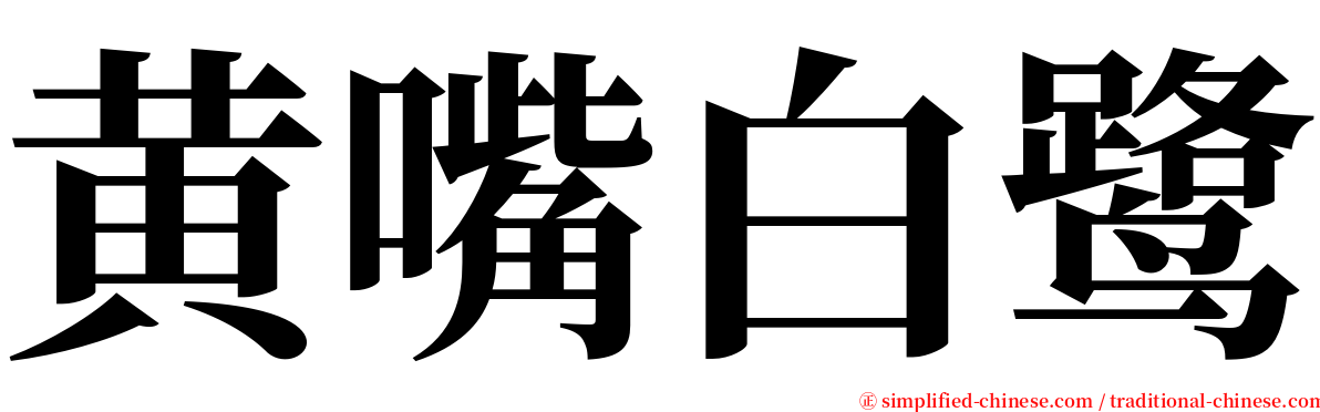 黄嘴白鹭 serif font