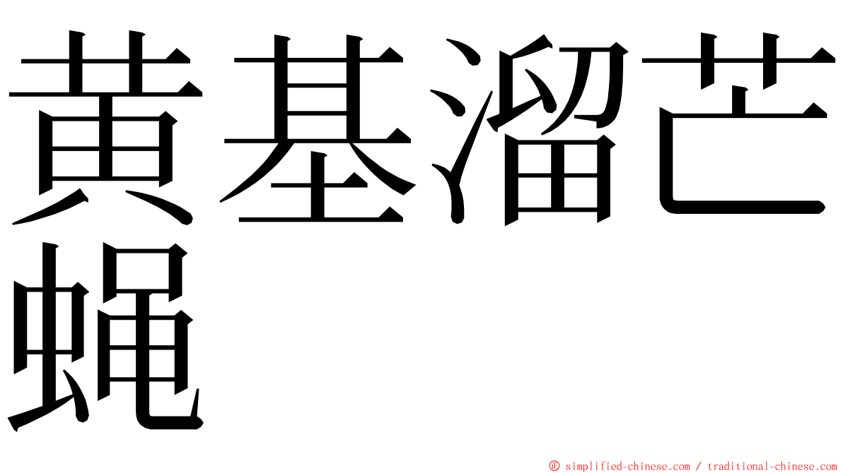 黄基溜芒蝇 ming font