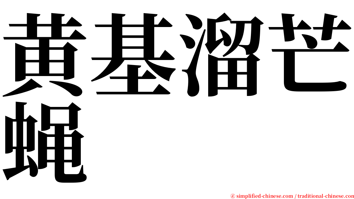 黄基溜芒蝇 serif font