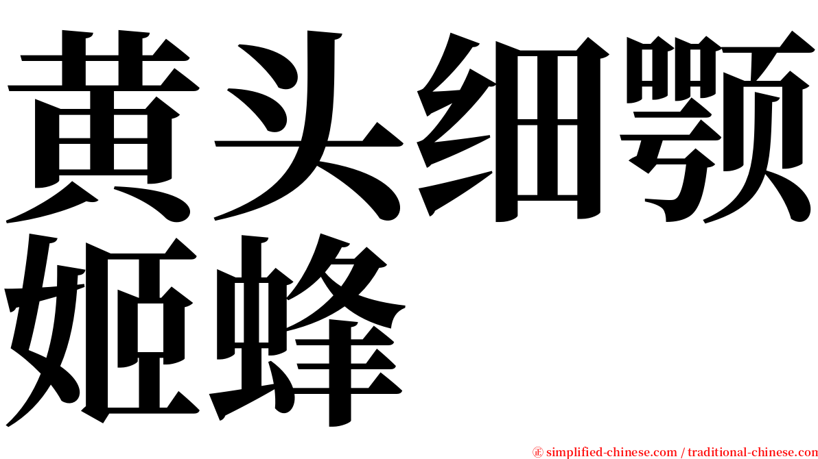 黄头细颚姬蜂 serif font