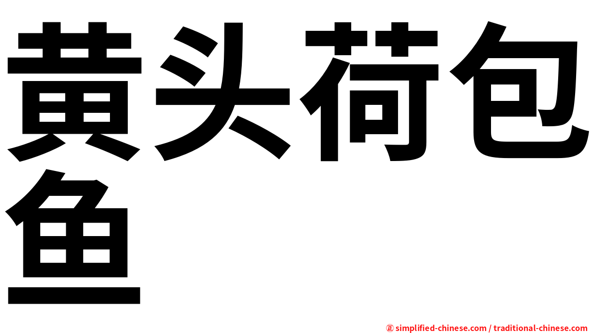 黄头荷包鱼