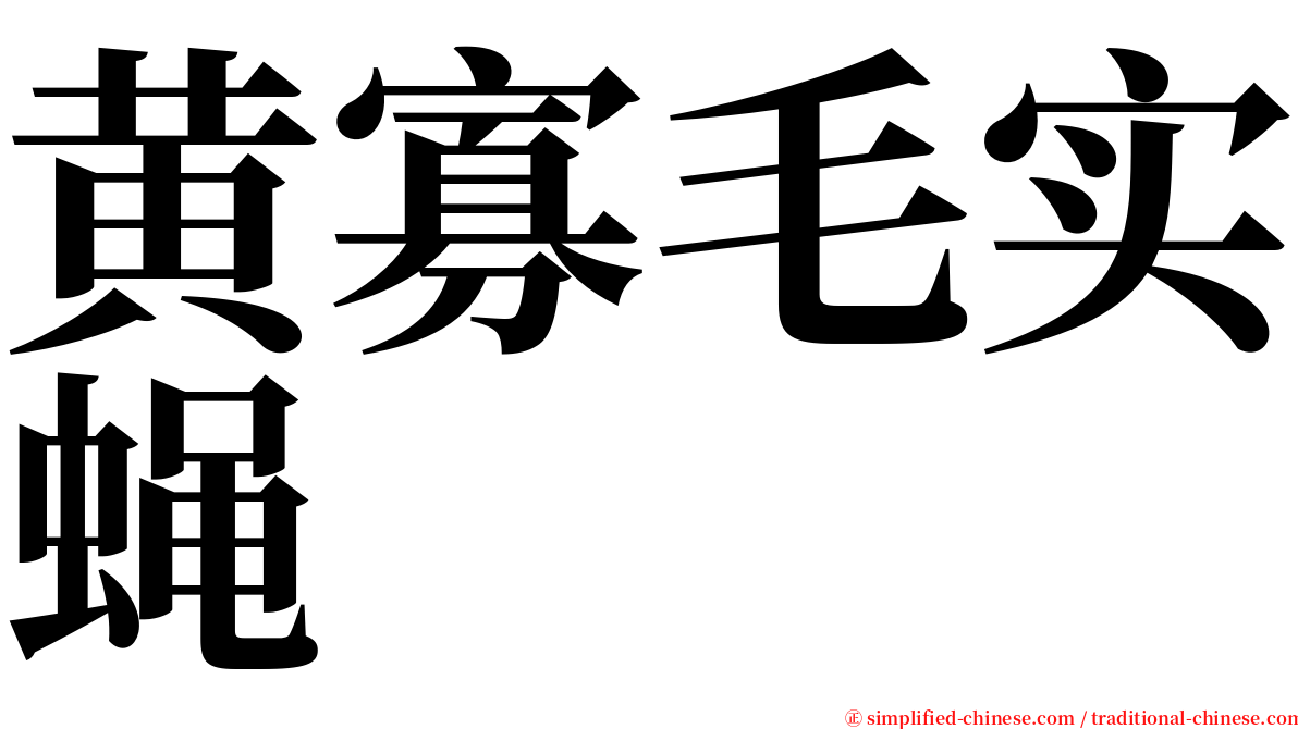 黄寡毛实蝇 serif font