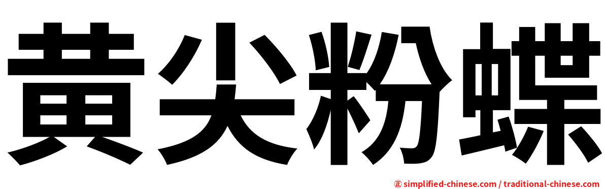 黄尖粉蝶