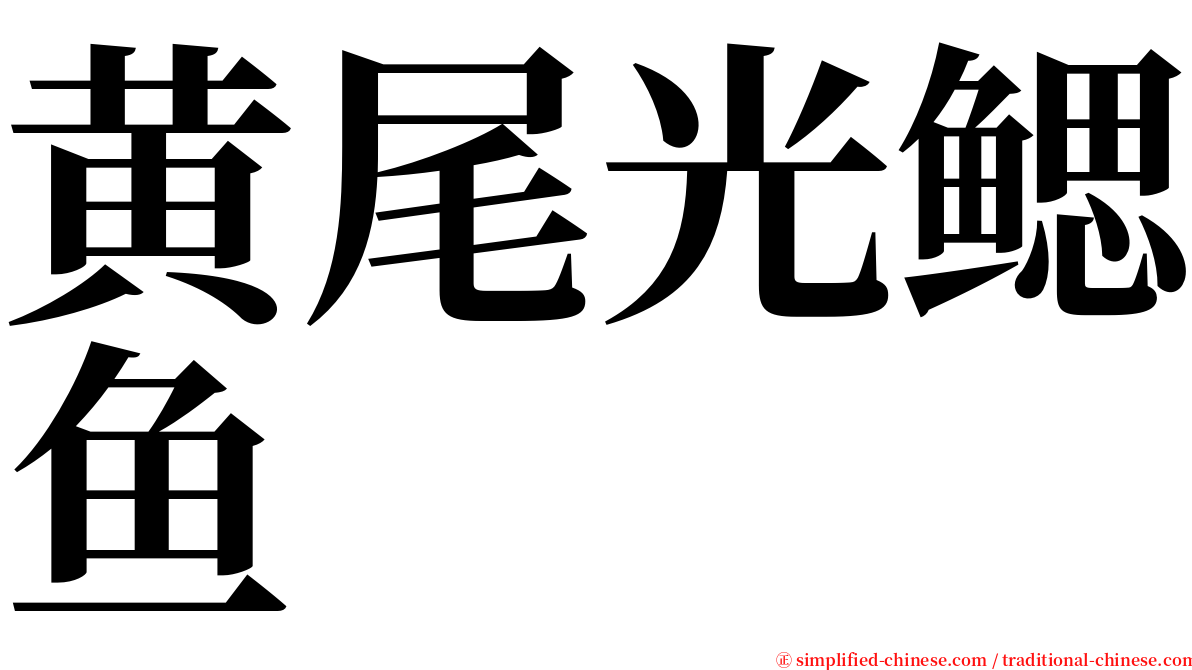 黄尾光鳃鱼 serif font