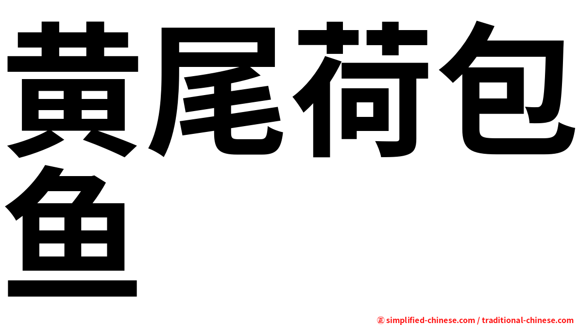 黄尾荷包鱼