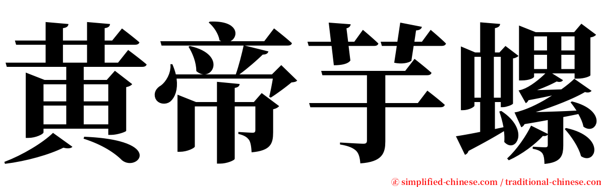 黄帝芋螺 serif font