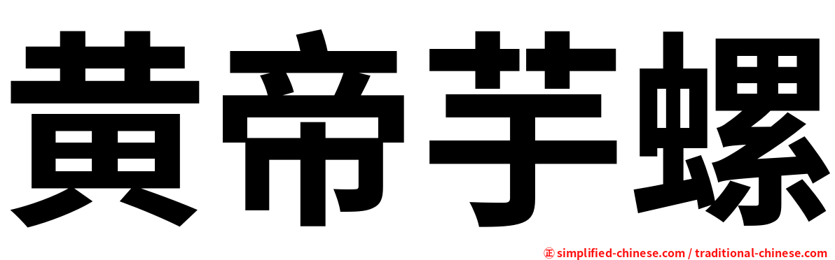黄帝芋螺