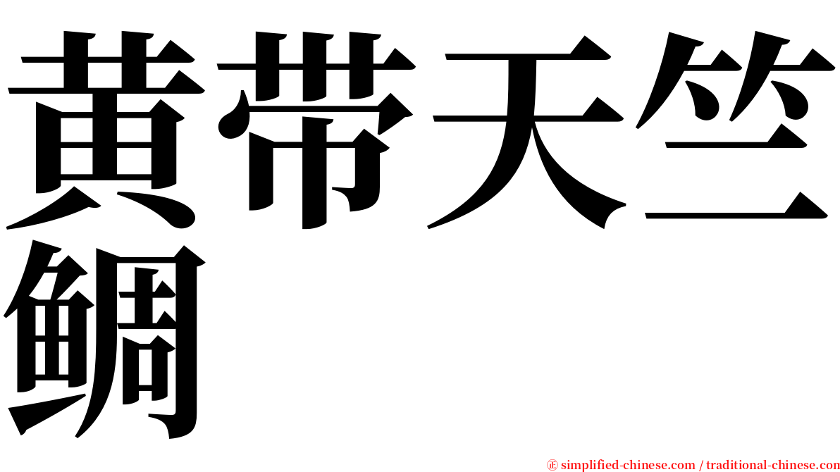 黄带天竺鲷 serif font