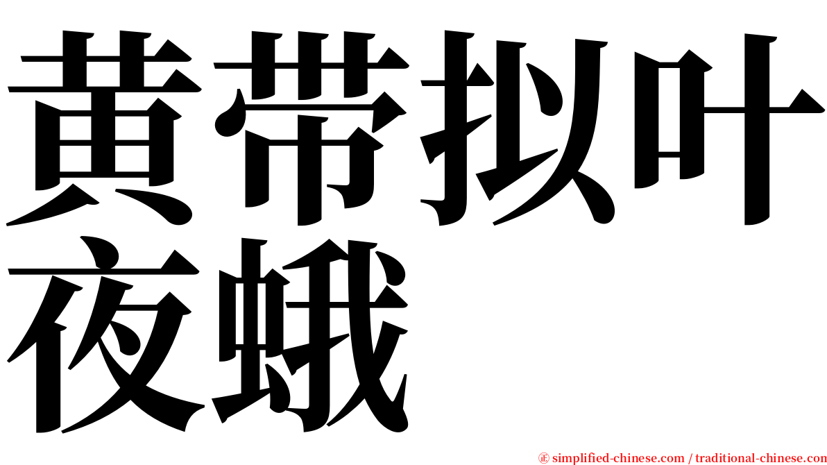 黄带拟叶夜蛾 serif font