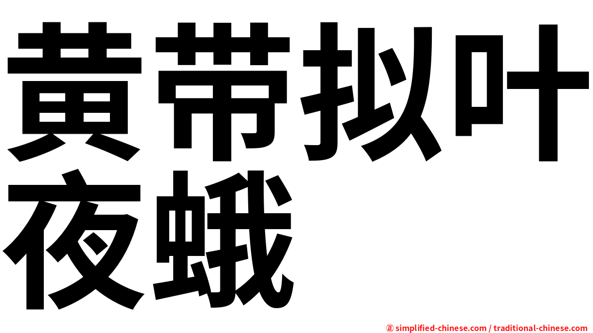 黄带拟叶夜蛾