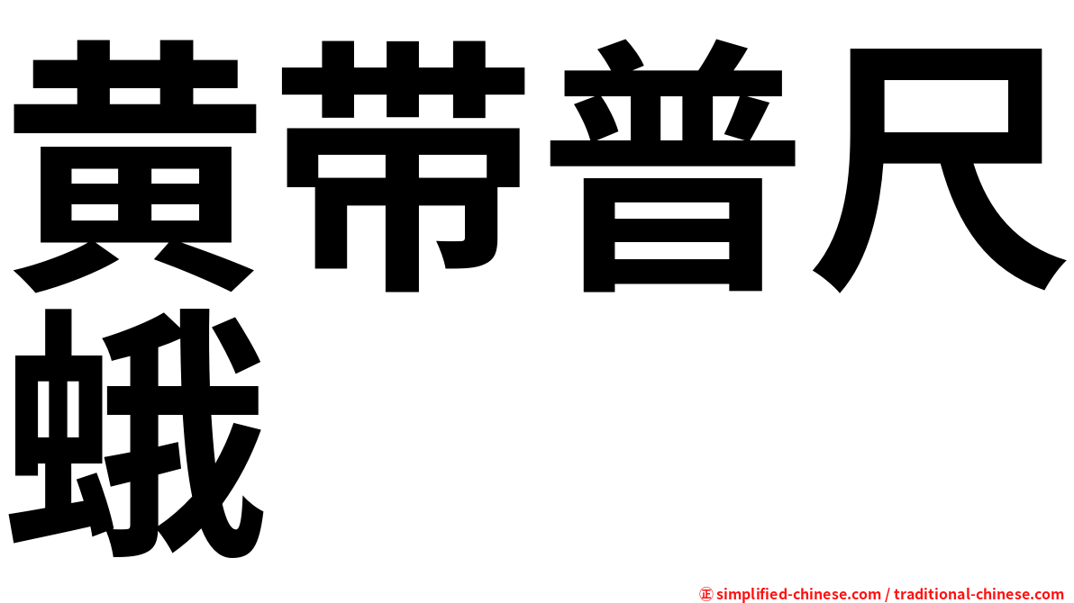 黄带普尺蛾