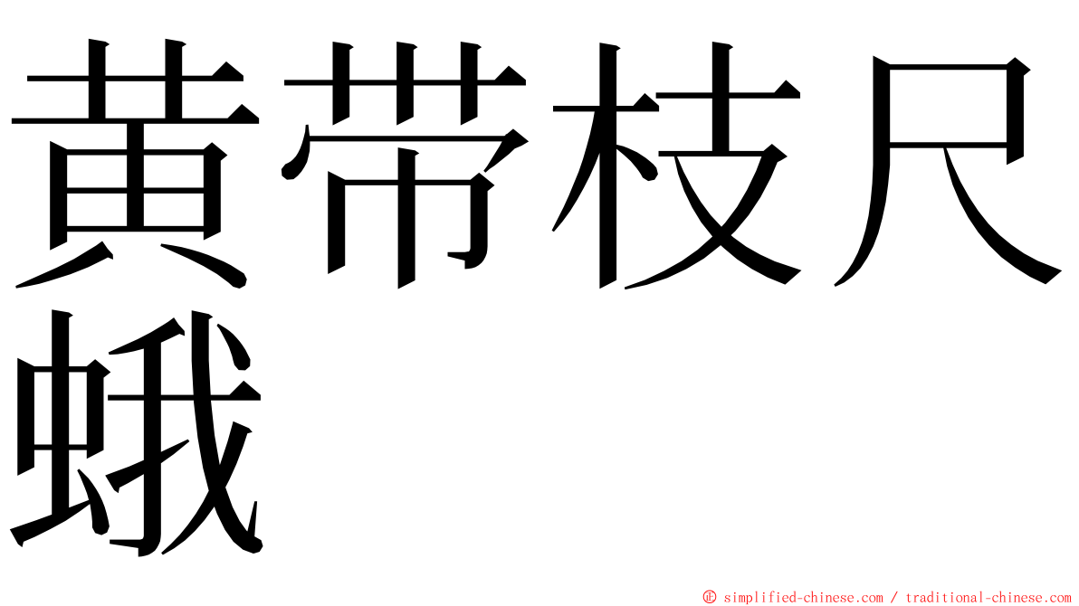 黄带枝尺蛾 ming font
