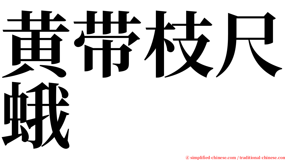 黄带枝尺蛾 serif font