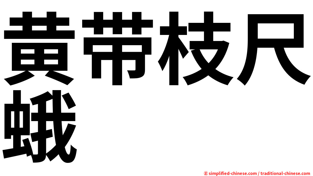 黄带枝尺蛾